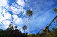 Hasiči a meteorologové: spolupráce, která zachraňuje životy i majetek